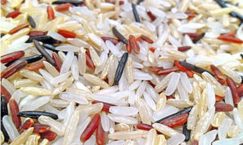 Facts about Rice