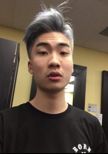 Facts about Ricegum