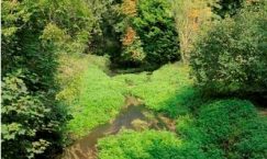Facts about the River Meon