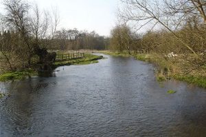 River Chess