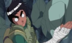 Facts about Rock Lee