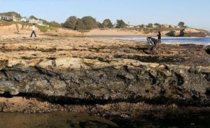 Rock Pools Facts