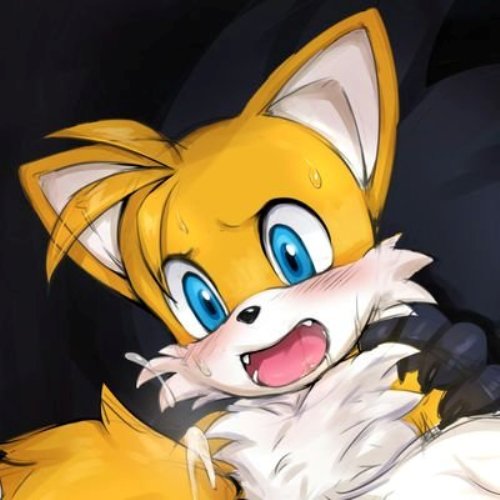 Facts about Tails the Fox 5: the creator.